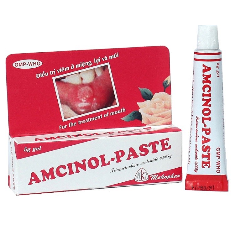 Amcinol paste Mekophar (Tuýp/5g) Date 12/2027