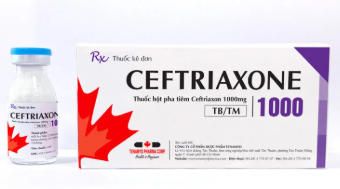 Ceftriaxone 1000mg tiêm Tenamyd (H/10lọ/1g)