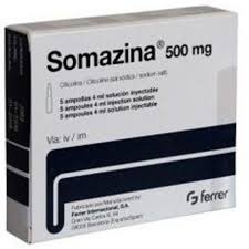 Somazina Citicolina 500mg Ferrer (H/5o/4ml)