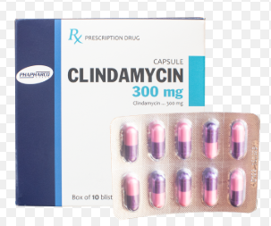 Clindamycin 300mg Phapharco (H/100v)