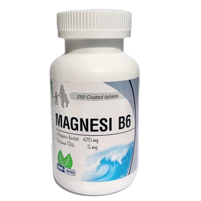 Magnesium B6 USP-Nic Pharma (Lọ/250v)