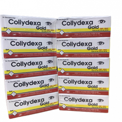 Collydexa Gold nhỏ mắt Hà Nội (Cọc/10chai/5ml) 