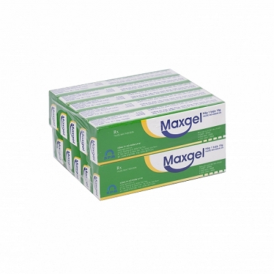 Maxgel SPM (Cọc/10tuýp/10g) 
