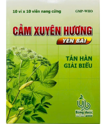 Cảm Xuyên Hương viên Yên Bái (H/100v) Date 11/2027