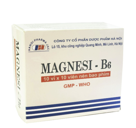 [T10077] Magnesi B6 Hà Nội (H/100v) 