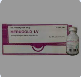 Merugold  Meropenem 1g tiêm (H/10 lọ) Date 05/2027