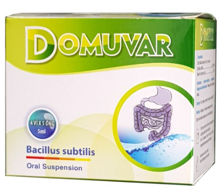 Domuvar Bacillus Subtilis CPC1 Hà Nội (H/20ống/5ml)