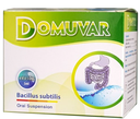 [T10622] Domuvar Bacillus Subtilis CPC1 Hà Nội (H/20ống/5ml)