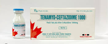 Tenamyd Ceftazidime thuốc bột pha tiêm Ceftazidime 1000mg (H/10 lọ) date 08/2026