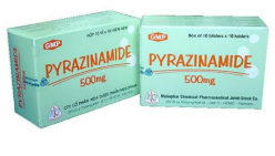 Pyrazinamide 500mg Mekophar (H/100v)