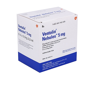 Ventolin Nebules Salbutamol 5mg/2.5ml GSK (H/4v/5o) 