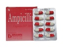 [T01542]  Ampicillin 500mg Brawn (H/100v)