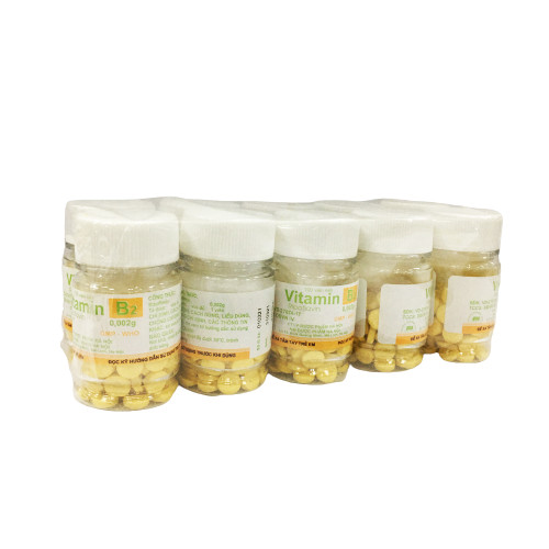 Vitamin B2 Hà Nội (Cọc/10lọ/100v) Date 05/2027