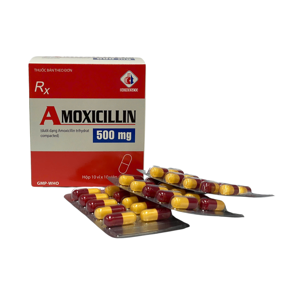 Amoxicillin 500mg Đồng Tháp (H/100v) 
