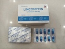 [T04415] Lincomycin 500mg Vĩnh Phúc (H/100v)
