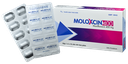 [T06212] Moloxcin 400 moxifloxacin 400mg DHG (H/10v)