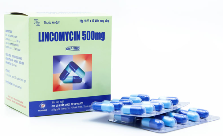 [T13326] Lincomycin 500 mg Medipharco (H/100v)