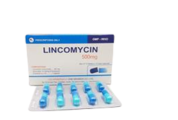 [T14615] Lincomycin 500mg Z120 (H/100v)