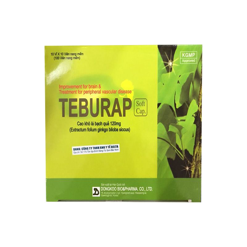 [T00023] Teburap Ginkgo biloba 120mg Hàn Quốc (H/100v) 