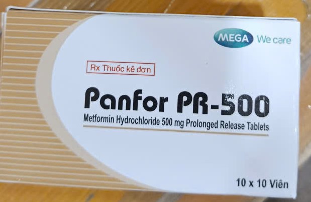 [T00581] Panfor Sr Metformin 500mg Mega (H/100v)
