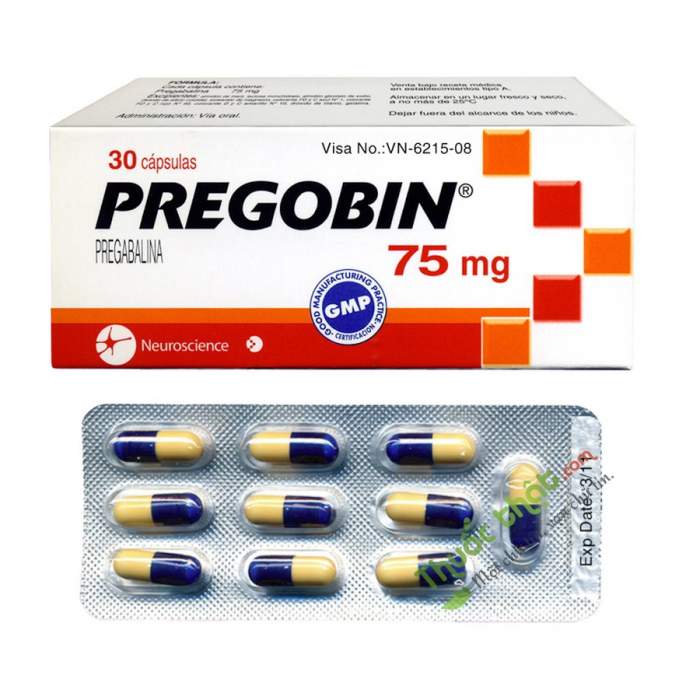 [T02491] Pregobin Pregabalin 75mg Chile (H/30v)